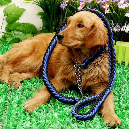 Training Leash | Nylon Honderriem Set