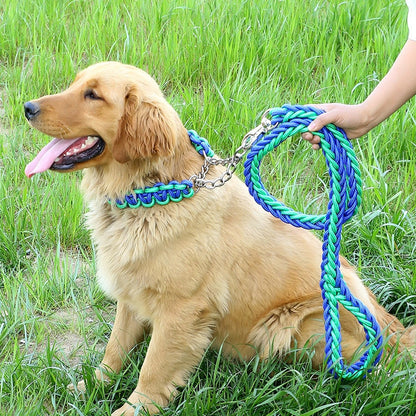 Training Leash | Nylon Honderriem Set