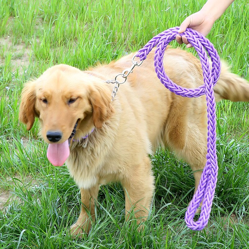 Training Leash | Nylon Honderriem Set