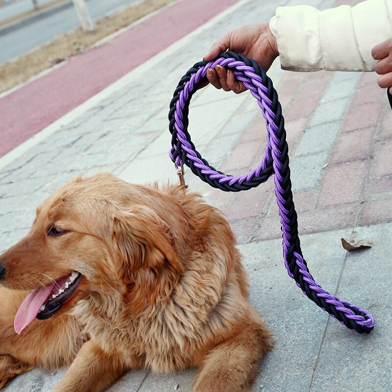 Training Leash | Nylon Honderriem Set