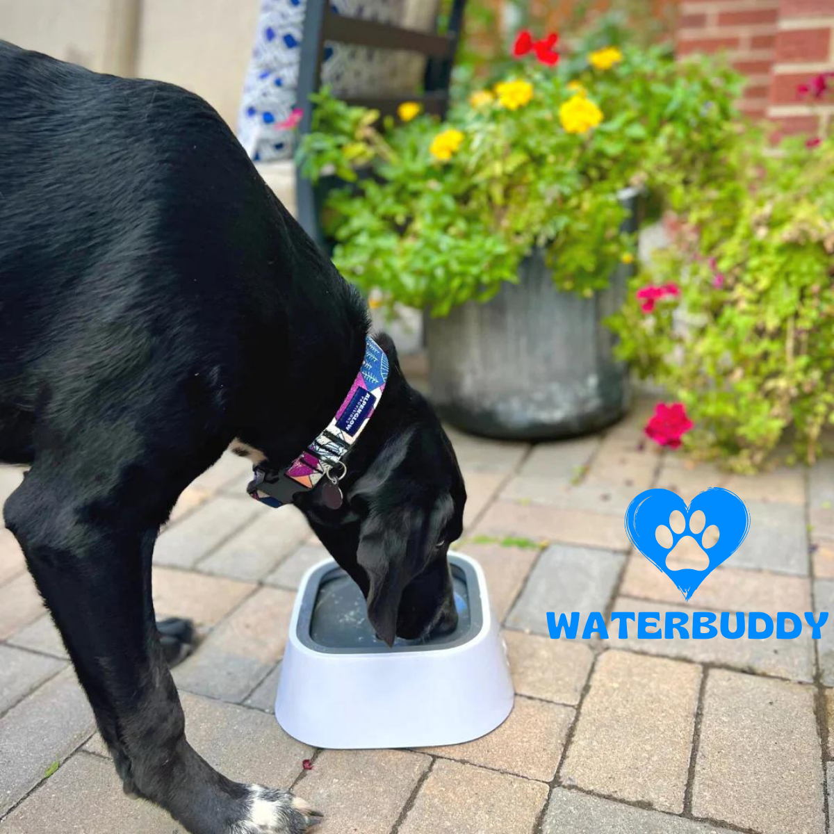 WaterBuddy™