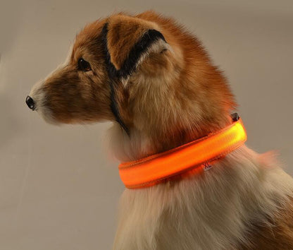 USB oplaadbare LED halsband voor honden