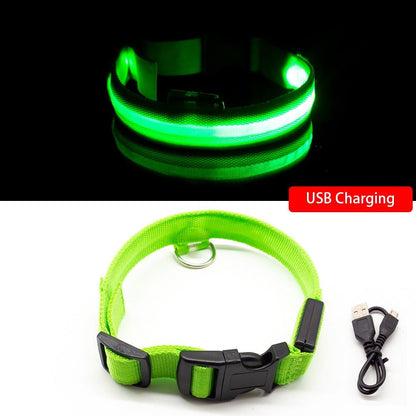 USB oplaadbare LED halsband voor honden