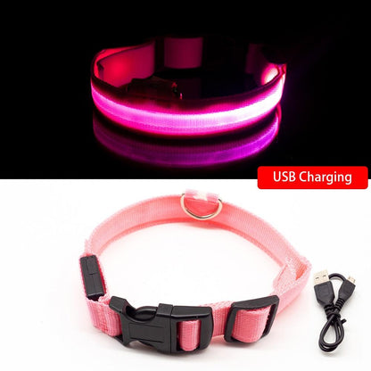 USB oplaadbare LED halsband voor honden